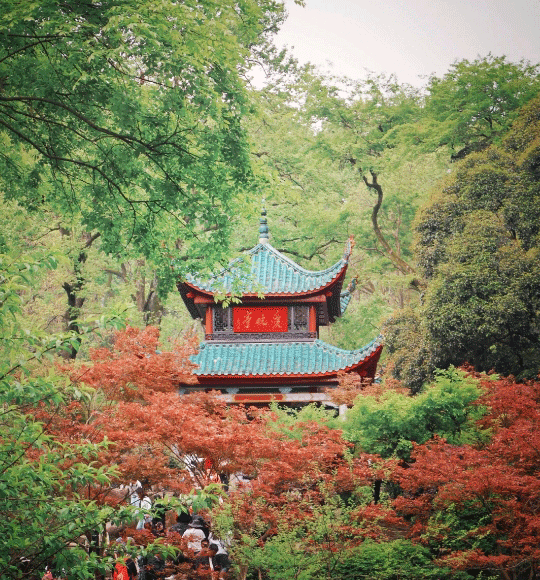 張家界跟團(tuán)游,張家界旅游攻略5天自由行,張家界自駕游,張家界旅游路線攻略,張家界中國(guó)國(guó)際旅行社