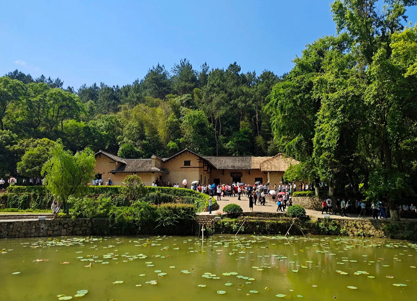 張家界跟團(tuán)游,張家界旅游攻略5天自由行,張家界自駕游,張家界旅游路線攻略,張家界中國(guó)國(guó)際旅行社